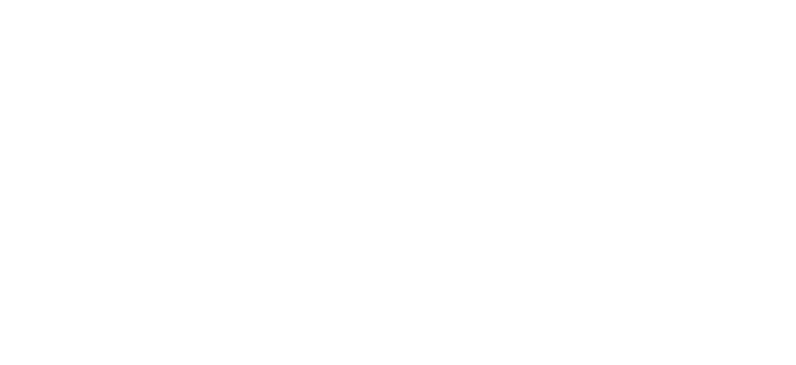 MIC-ViewSystem